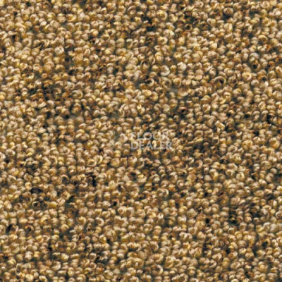 Ковролин AW Dakota 38 фото 1 | FLOORDEALER