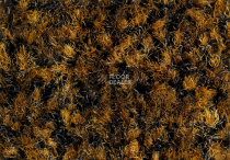 Forbo Coral Brush 5736 Cinnamon Brown фото 2 | FLOORDEALER