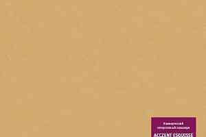 Линолеум Tarkett Acczent Esquisse 05 фото  | FLOORDEALER