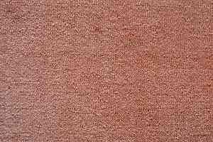 Ковролин Дюна Тафт Плеяда 550 921 фото  | FLOORDEALER