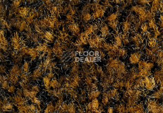 Forbo Coral Brush 5736 Cinnamon Brown фото 2 | FLOORDEALER