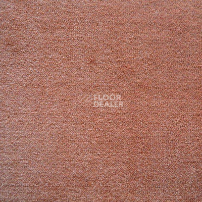 Ковролин Дюна Тафт Плеяда 550 921 фото 1 | FLOORDEALER