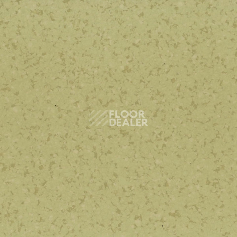 Линолеум DLV Flooring Medical Safety 8637 фото 1 | FLOORDEALER