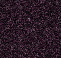 Грязезащитные покрытия Forbo Coral в плитке 5739 Byzantine Purple фото 1 | FLOORDEALER