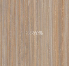 Кварцвиниловые полы Forbo Marmoleum Modular Lines 5225 фото 1 | FLOORDEALER