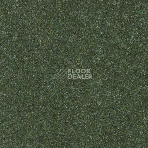 Ковролин Forbo Forte 96018 Forest фото 1 | FLOORDEALER