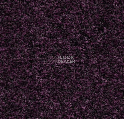 Грязезащитные покрытия Forbo Coral в плитке 5739 Byzantine Purple фото 1 | FLOORDEALER