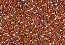 AW Magma 84 фото 3 | FLOORDEALER