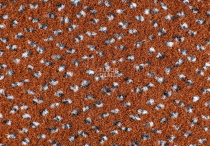 AW Magma 84 фото 3 | FLOORDEALER