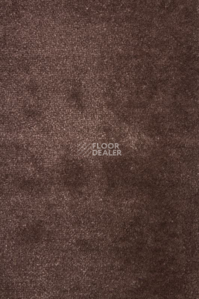 Ковролин Betap Pusan 97 фото 1 | FLOORDEALER