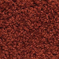 Ковролин Girloon Body1 151 фото 1 | FLOORDEALER