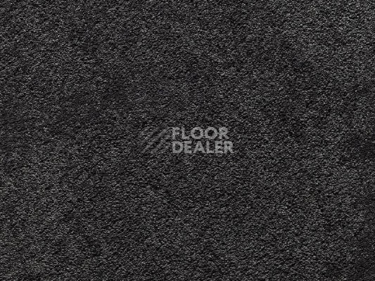 Ковролин LILY 098 Lily фото 1 | FLOORDEALER
