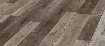 Kronotex Exquisit Plus d4997 Дуб Прекрасный фото 1 | FLOORDEALER