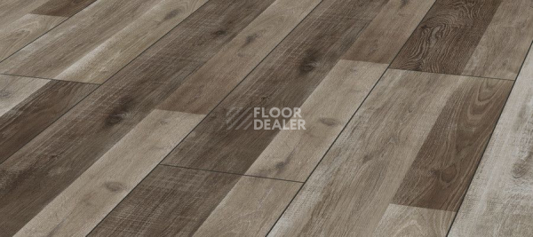 Ламинат Kronotex Exquisit Plus d4997 Дуб Прекрасный фото 1 | FLOORDEALER