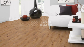 Kronotex Aqua Amazone 10мм D4169 Дуб Престиж светлый фото 2 | FLOORDEALER