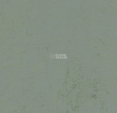 Forbo Marmoleum Decibel 375135 tundra фото 1 | FLOORDEALER