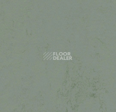 Линолеум Forbo Marmoleum Decibel 375135 tundra фото 1 | FLOORDEALER