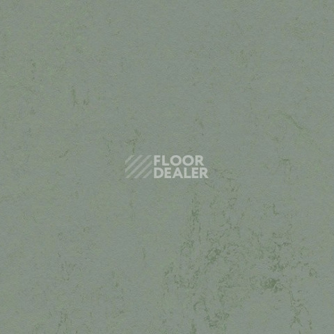 Линолеум Forbo Marmoleum Decibel 375135 tundra фото 1 | FLOORDEALER
