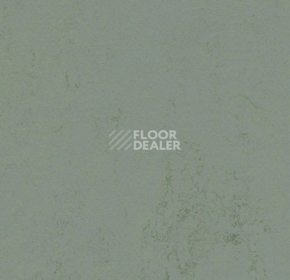 Линолеум Forbo Marmoleum Decibel 375135 tundra фото 1 | FLOORDEALER