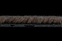 Coral Interior 1525 Prairie Dusk фото 5 | FLOORDEALER