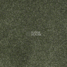 Ковролин Shaw Design Texture Platinum 325 фото 1 | FLOORDEALER