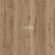 Пробковое покрытие Wood Resist Eco FDYG001   Field Oak фото 1 | FLOORDEALER