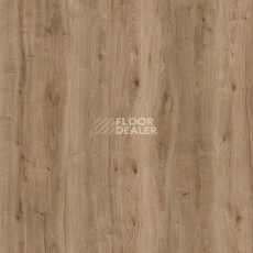 Пробковое покрытие Wood Resist Eco FDYG001   Field Oak фото 1 | FLOORDEALER
