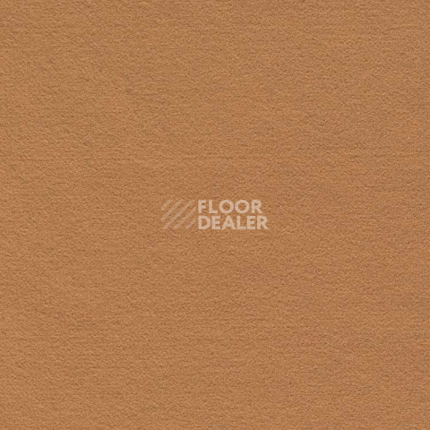 Ковролин Finett Feinwerk 403502 фото 1 | FLOORDEALER