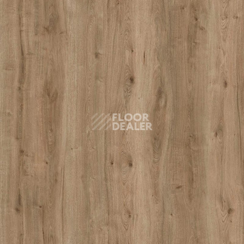 Пробковое покрытие Wood Resist Eco FDYG001   Field Oak фото 1 | FLOORDEALER