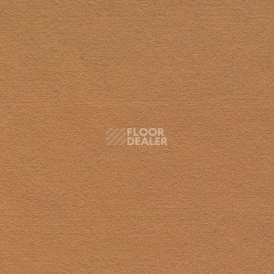 Ковролин Finett Feinwerk 403502 фото 1 | FLOORDEALER