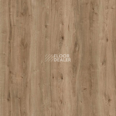 Пробковое покрытие Wood Resist Eco FDYG001   Field Oak фото 1 | FLOORDEALER