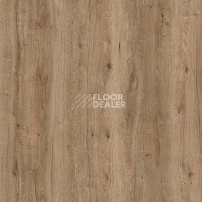 Пробковое покрытие Wood Resist Eco FDYG001   Field Oak фото 1 | FLOORDEALER