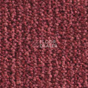 Ковролин Balsan Delice Delice 580 фото 1 | FLOORDEALER