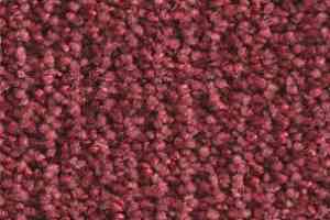 Ковролин Balsan Delice Delice 580 фото  | FLOORDEALER