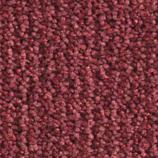 Ковролин Balsan Delice Delice 580 фото 1 | FLOORDEALER