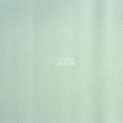 Линолеум Lg Calmpasso CP 93502 фото 1 | FLOORDEALER