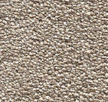 Ковролин AW Perseus 39 фото 1 | FLOORDEALER