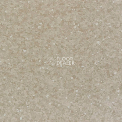 Линолеум Tarkett iQ Aria CARII-657 фото 1 | FLOORDEALER