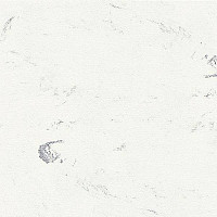 Линолеум Polyflor Standart XL 8740 фото 1 | FLOORDEALER