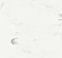 Линолеум Polyflor Standart XL 8740 фото 1 | FLOORDEALER