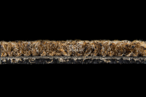 Escom Color Play - Concept 12302 фото 3 | FLOORDEALER