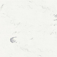 Линолеум Polyflor Standart XL 8740 фото 1 | FLOORDEALER