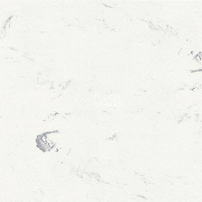 Линолеум Polyflor Standart XL 8740 фото 1 | FLOORDEALER