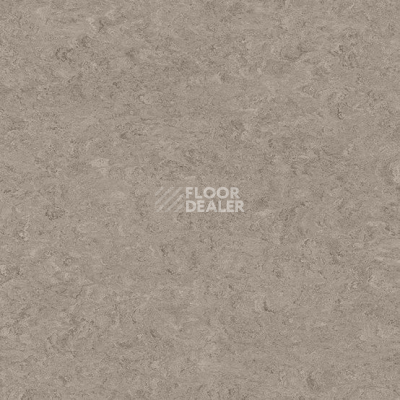 Линолеум Marmorette DLW 2.5mm 0090 Soapstone фото 1 | FLOORDEALER