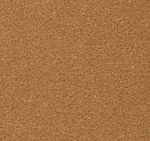 Ковролин Vorwerk Passion 1006 Vorwerk 1m21 фото 1 | FLOORDEALER