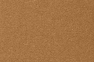 Ковролин Vorwerk Passion 1006 Vorwerk 1m21 фото  | FLOORDEALER