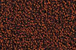 Ковролин Desso Cassini 5211 фото  | FLOORDEALER