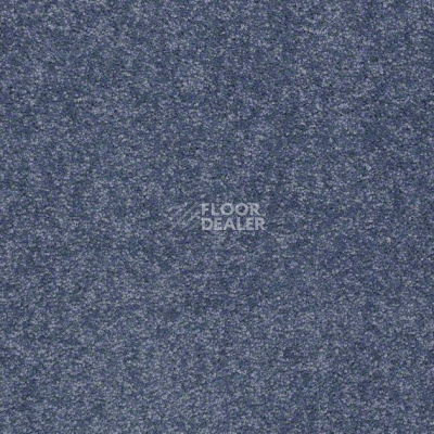 Ковролин Shaw Design Texture Platinum 413 фото 1 | FLOORDEALER