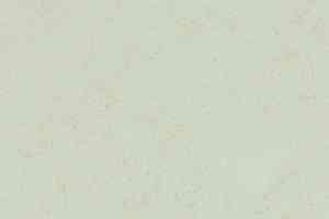 Линолеум Forbo Marmoleum Decibel on Order 374935 Arctic фото  | FLOORDEALER