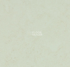 Линолеум Forbo Marmoleum Decibel on Order 374935 Arctic фото 1 | FLOORDEALER